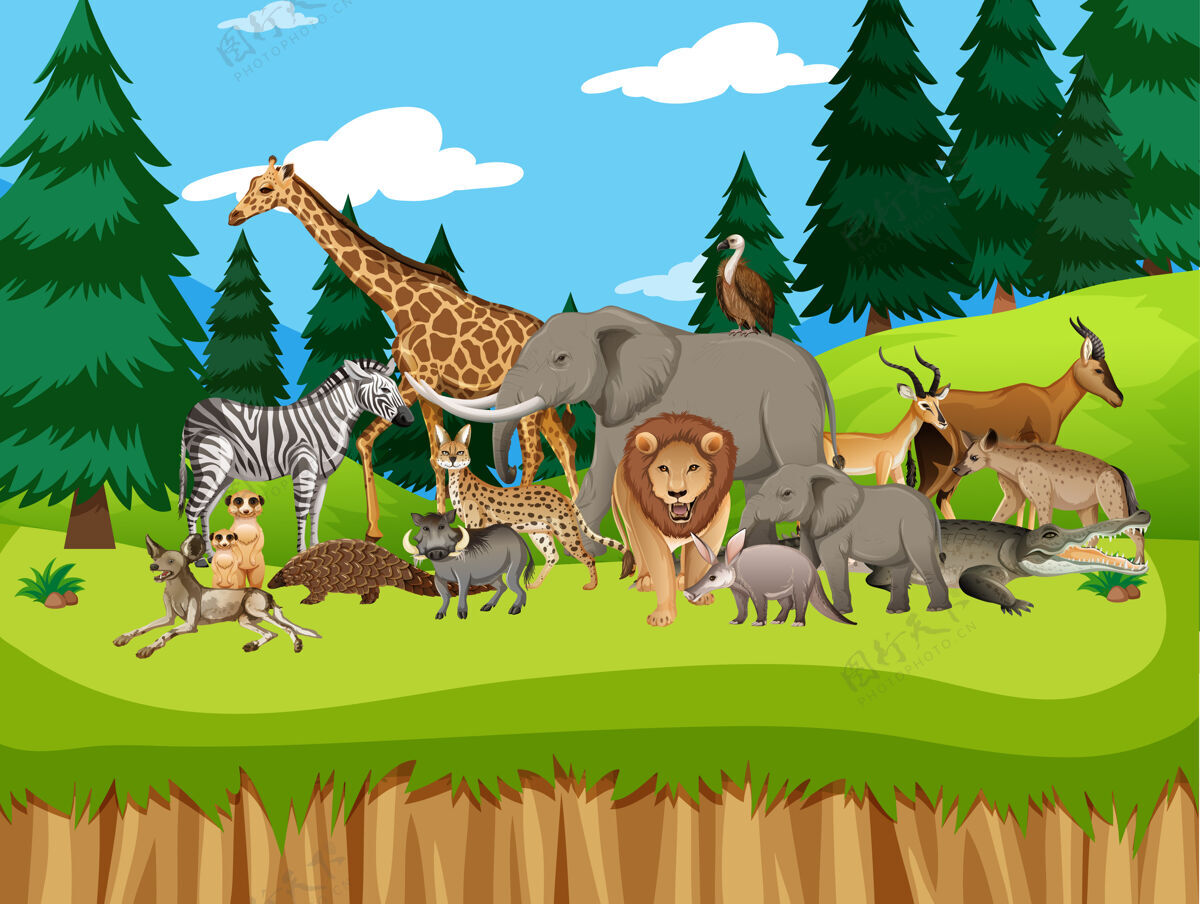 绿色森林里的一群非洲野生动物卡通动物园环境