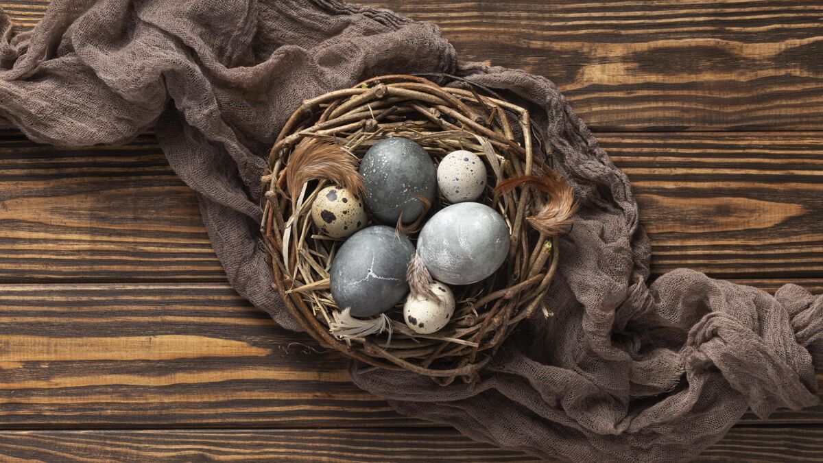 帕夏复活节彩蛋的顶视图 有布料和鸟巢庆祝水平蛋