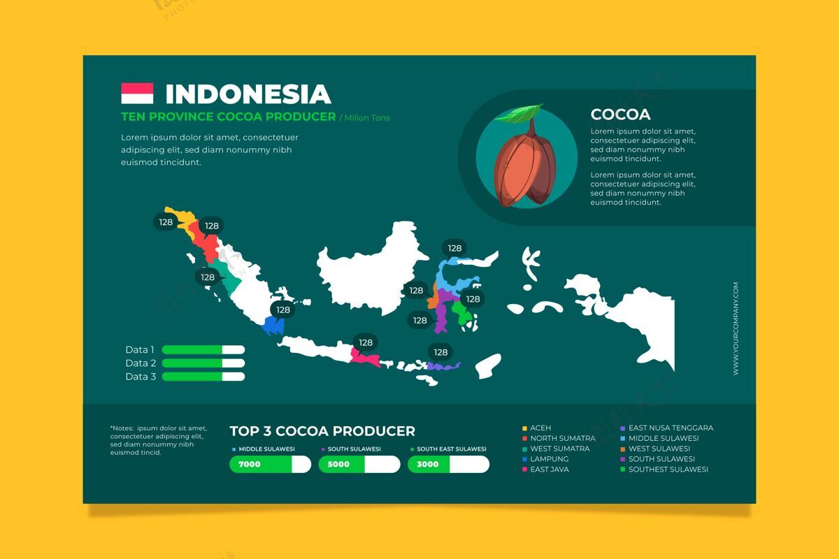 图表平面设计印尼地图信息图形模板信息图印度尼西亚模板