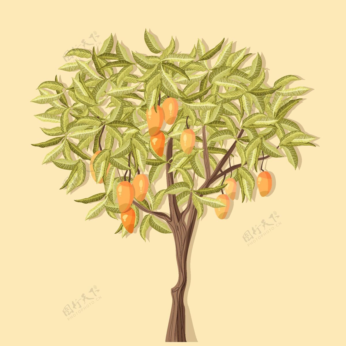 食物植物芒果树画水果美味植物
