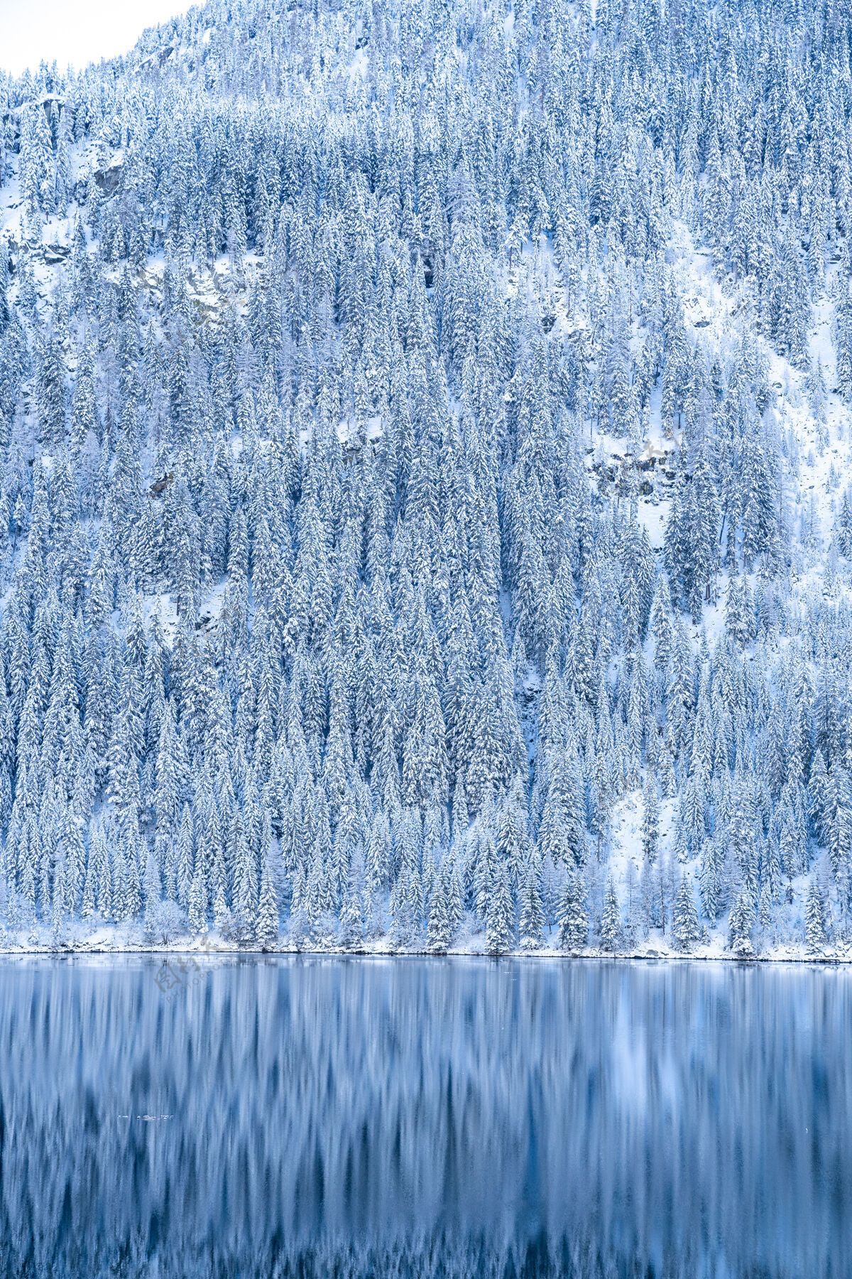 户外阿尔卑斯山上许多树上覆盖着白雪 倒映在湖面上的美丽景色松太阳蓝色