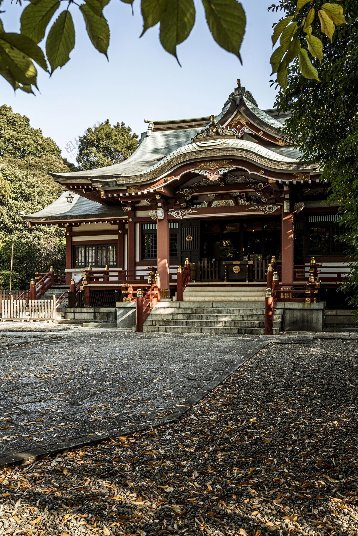 结构带秋叶的日本寺庙的正视图圣殿寺庙垂直
