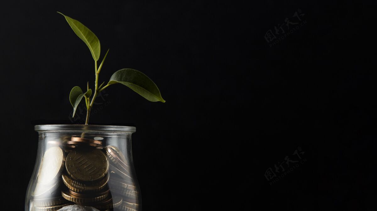 货币植物生长从一罐硬币复制空间复制空间货币现金