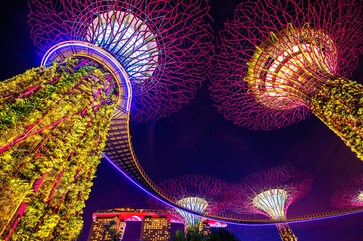 夜晚新加坡海湾花园里的超级树超级海湾奇怪