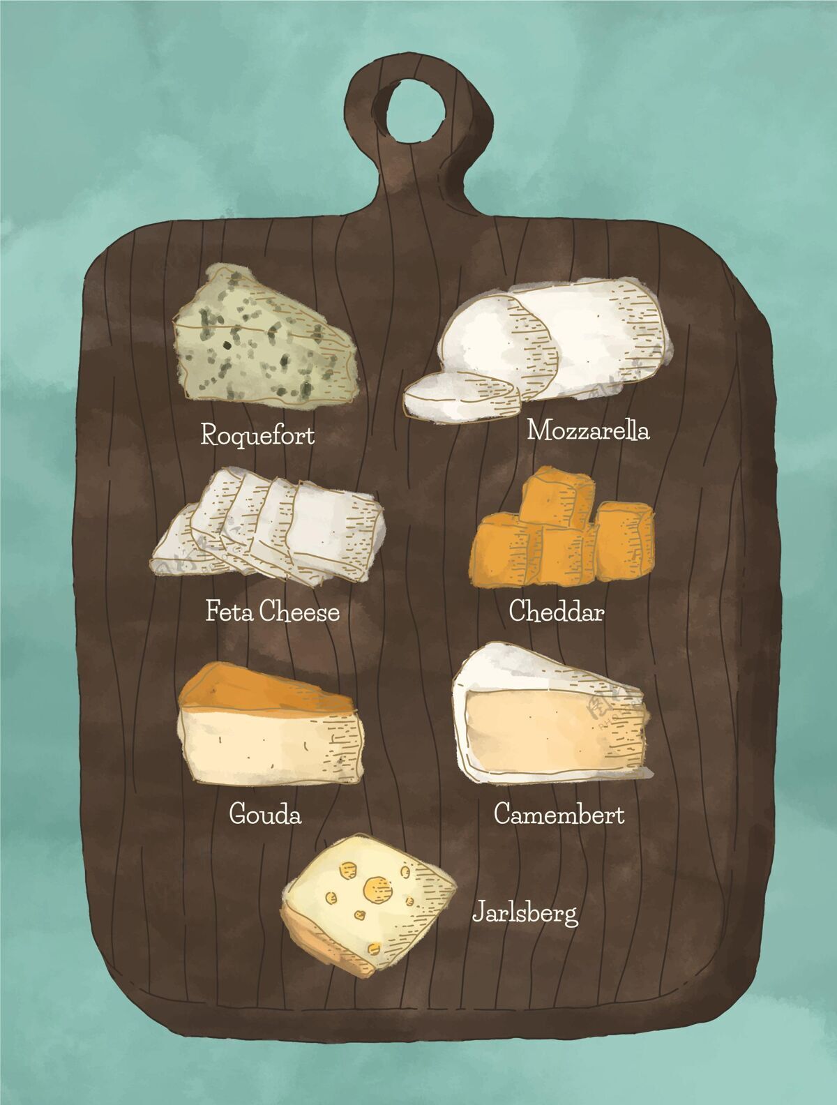 食品手工绘制的不同类型的奶酪集合食用营养烹饪