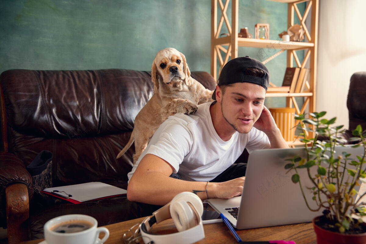 在线年轻帅哥坐在棕色沙发上和他的可爱的狗一起工作开朗在线学习动物