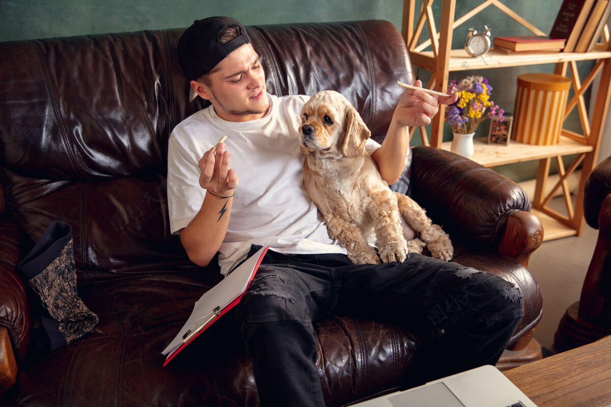 工作场所年轻帅哥坐在棕色沙发上和他的可爱的狗一起工作聪明年轻学习