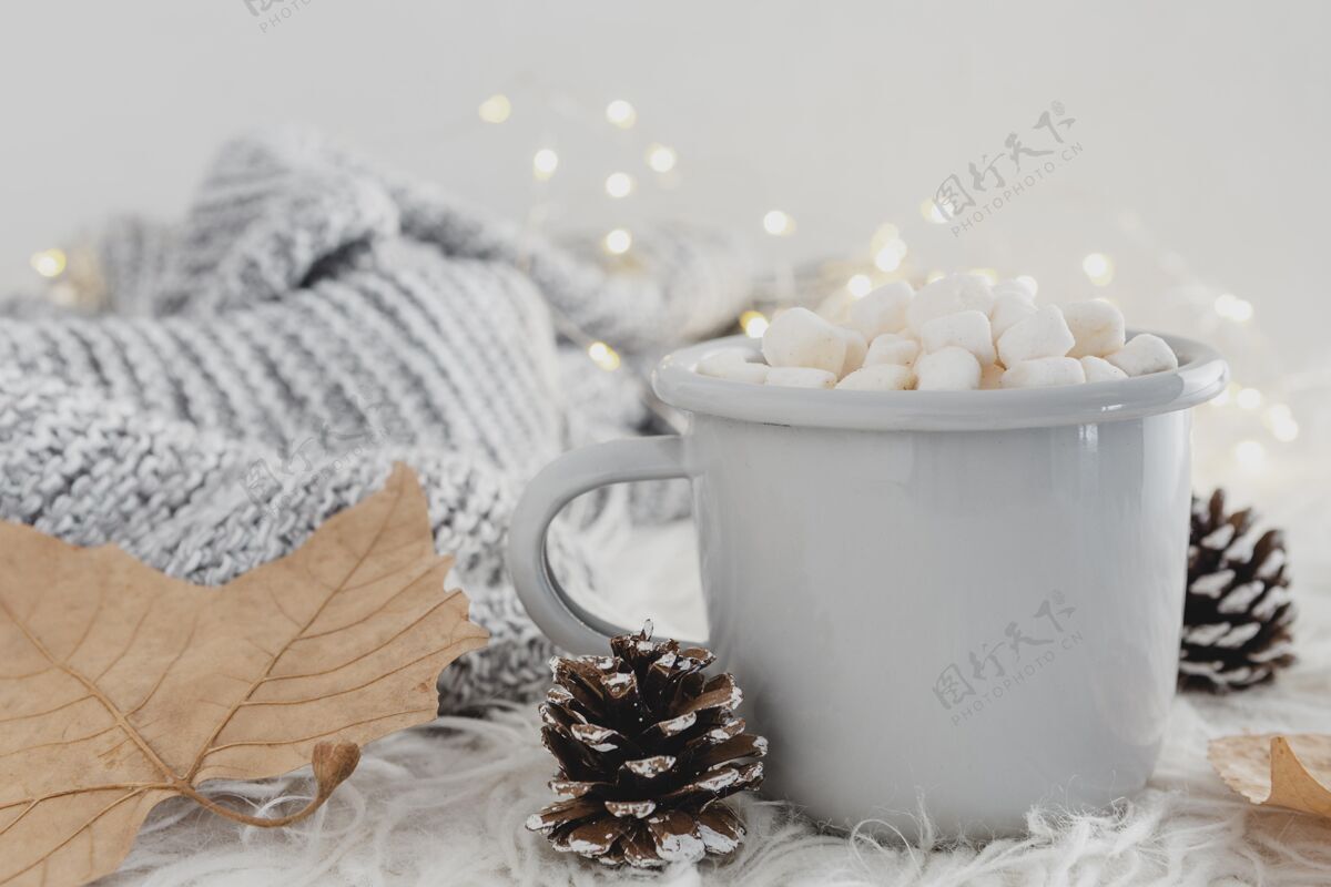 斯堪的纳维亚前视图热巧克力棉花糖和羊毛毯放松设计心情