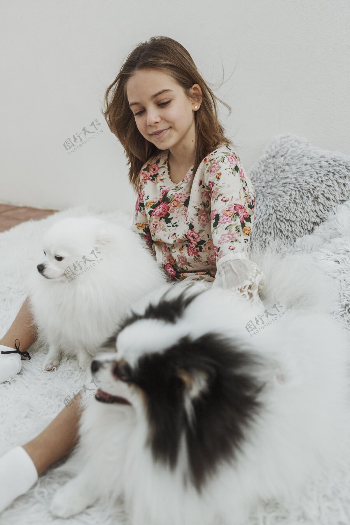 可爱女孩和她的狗在床上动物狗年轻