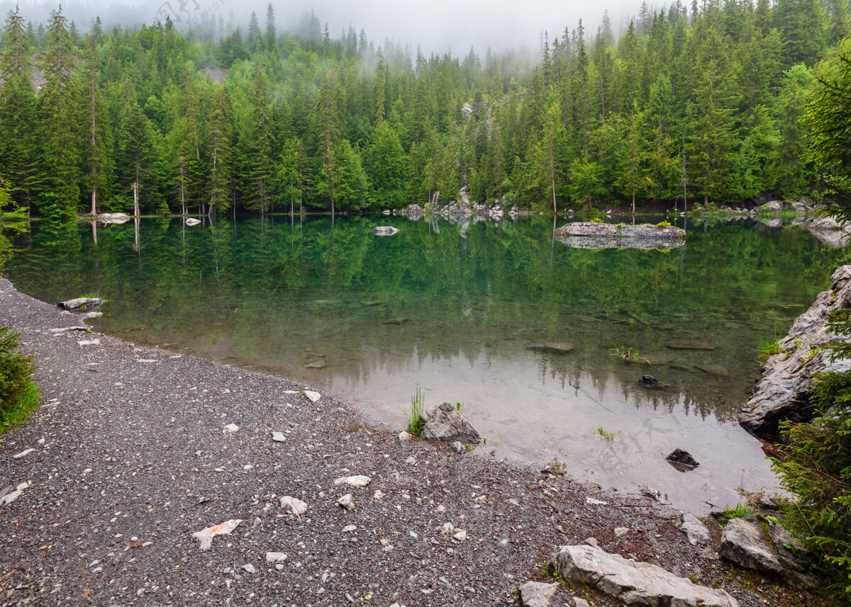 山法国阿尔卑斯山的小山林湖（夏天的早晨有雾）景观阿尔卑斯山池塘