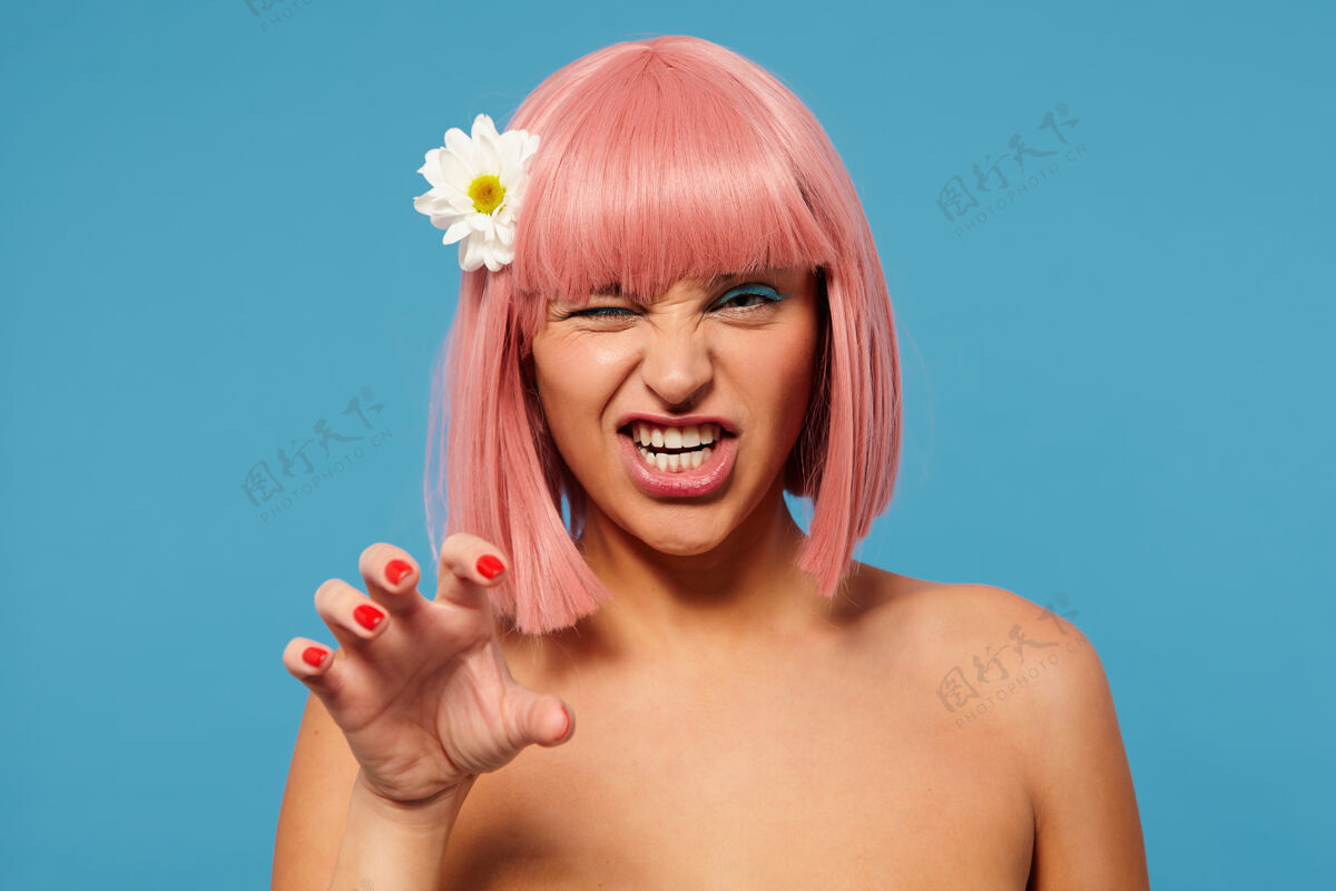优雅俏皮的年轻漂亮的女士穿着洋甘菊在她的短粉红色头发 而在蓝色的背景上摆姿势 显示她的牙齿和眨眼的相机 同时模仿猫的爪子举起的手顽皮肩膀鲍伯