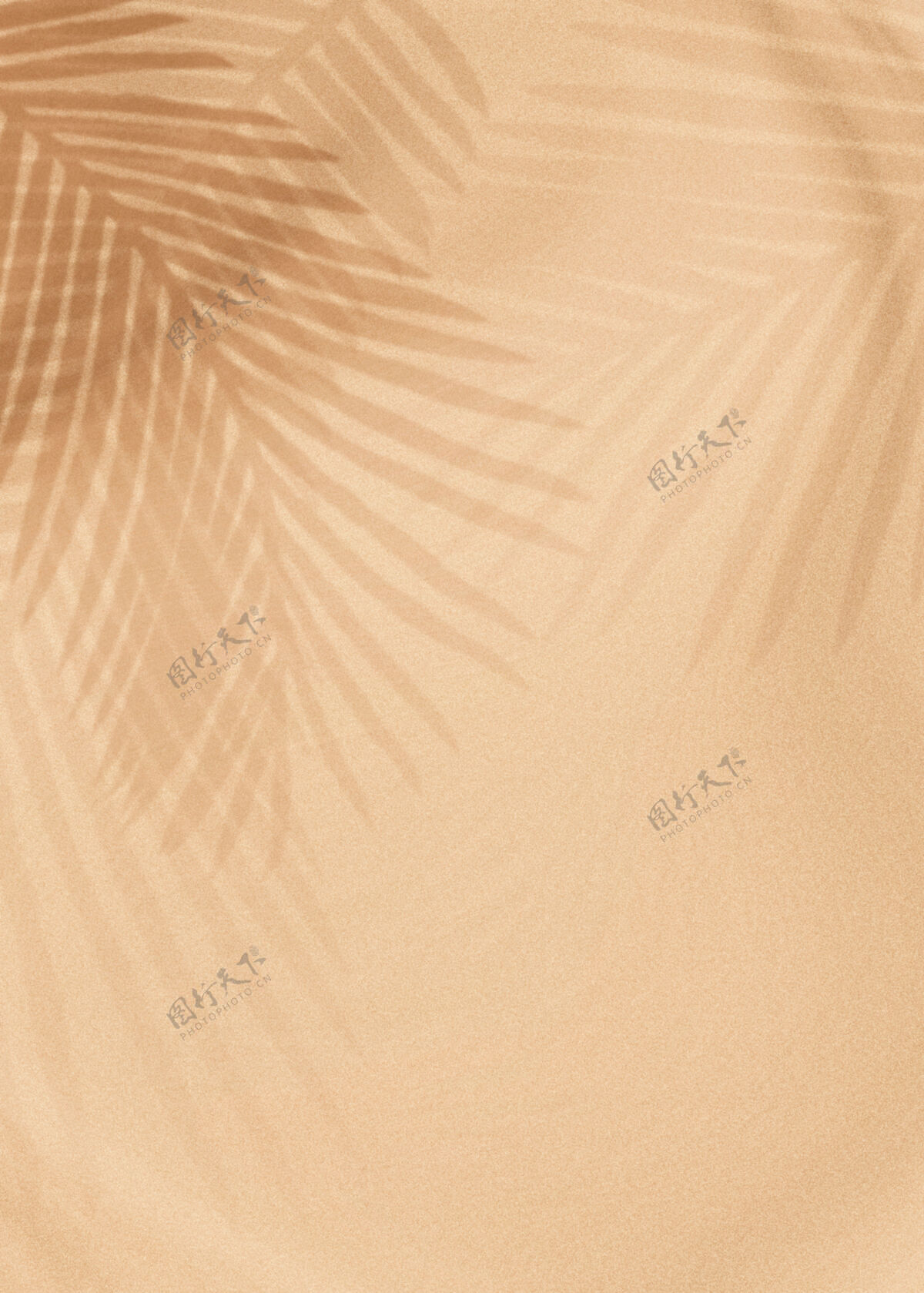 墙壁棕榈叶的影子在米色叶子叶子阴影卡片