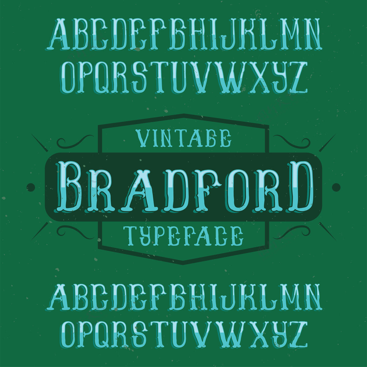 样式名为布拉德福德的复古标签字体标题字母字母